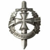 insignes-militaires-en-fer-187 Железни военни знаци